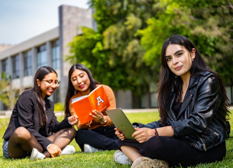 Qué carrera estudiar en la universidad