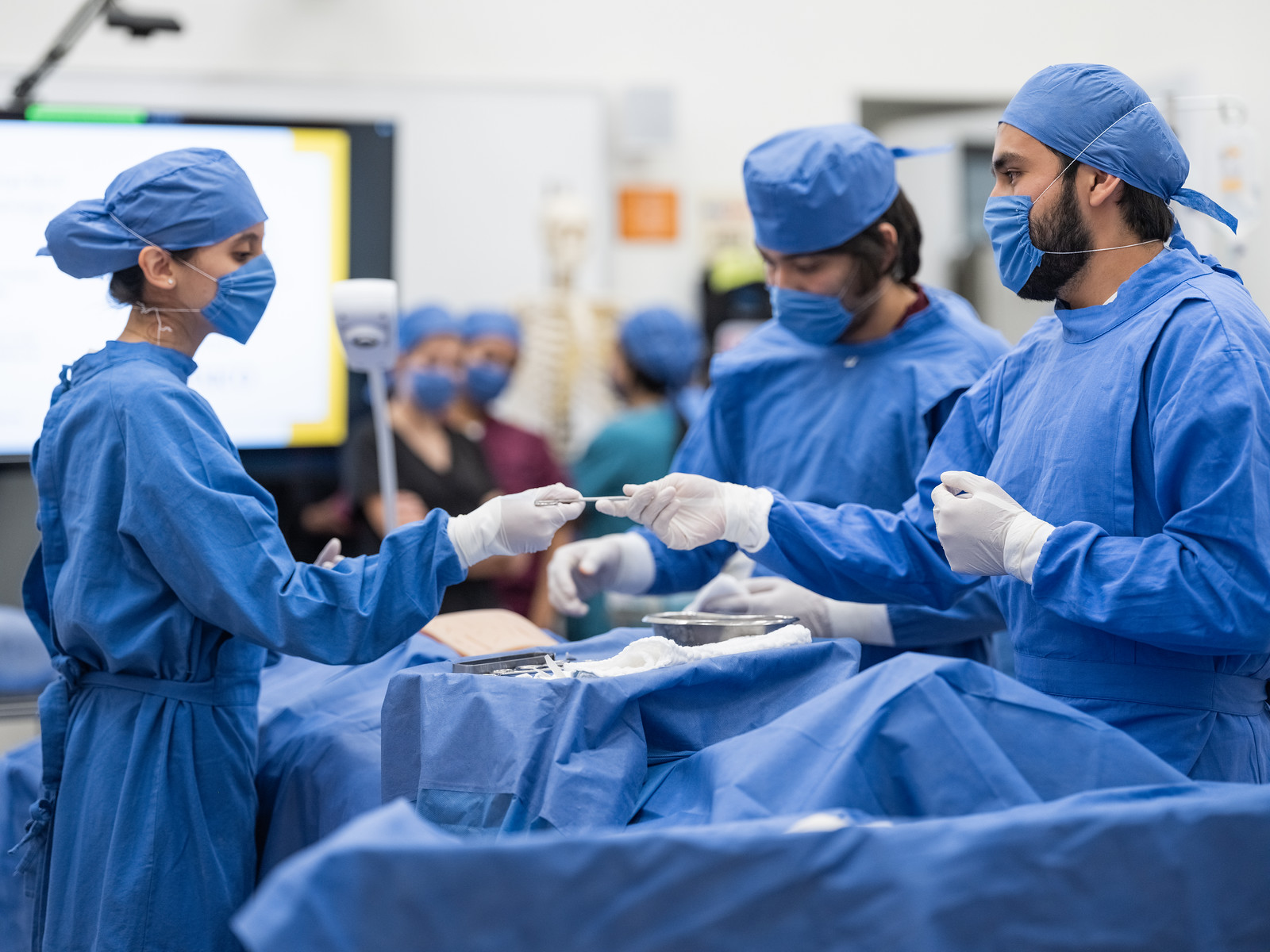 Carreras para estudiar ciencias de la salud