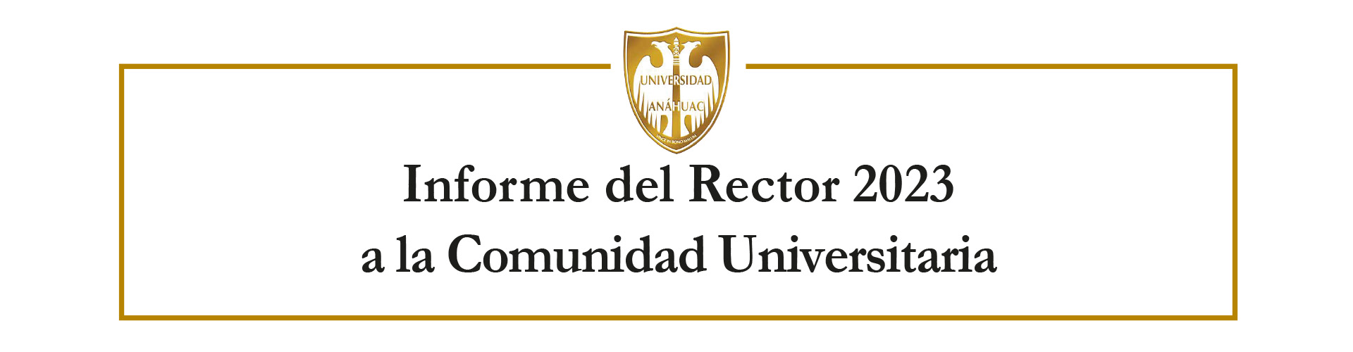 Informe del Rector