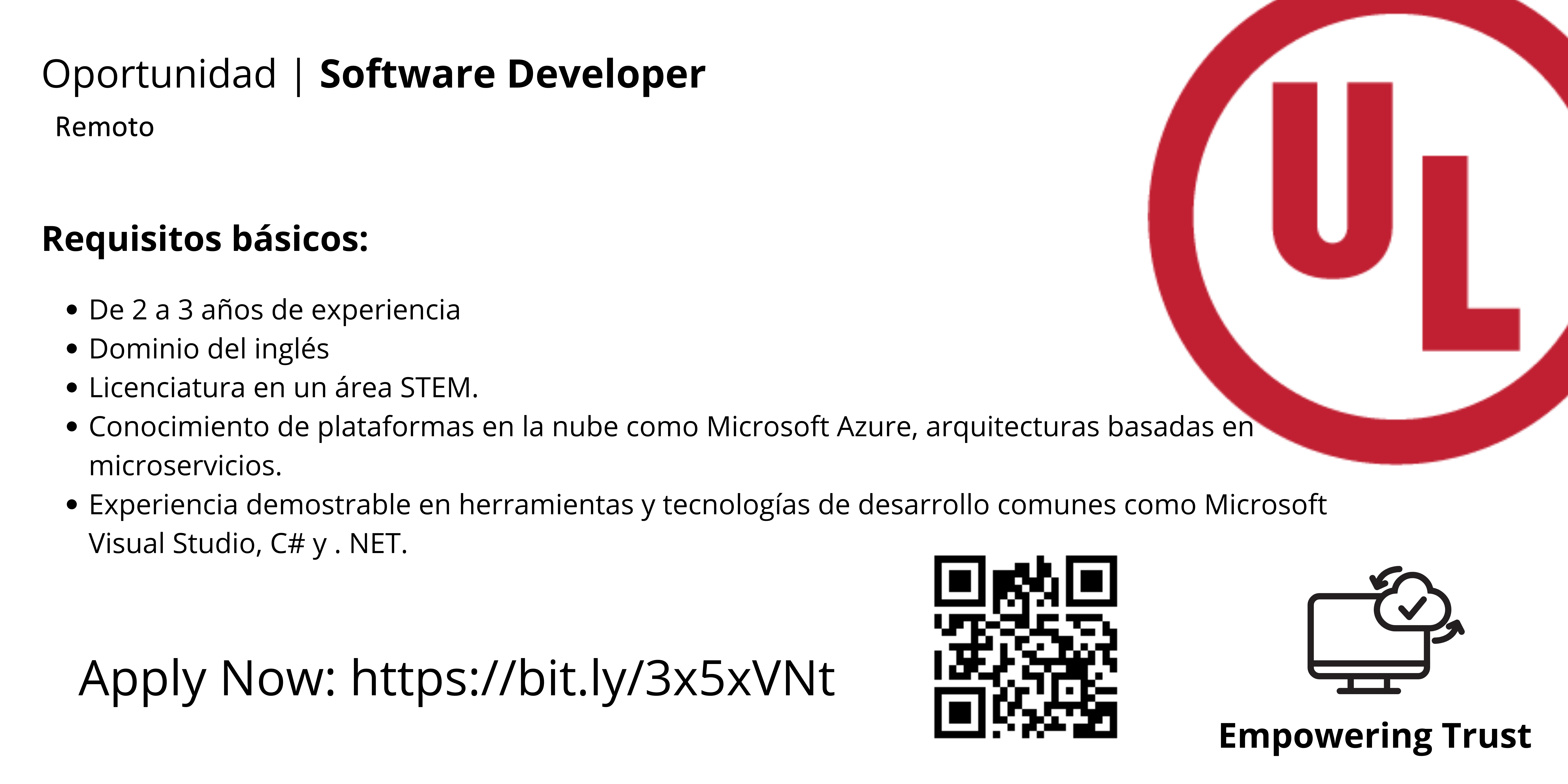 Software Developer