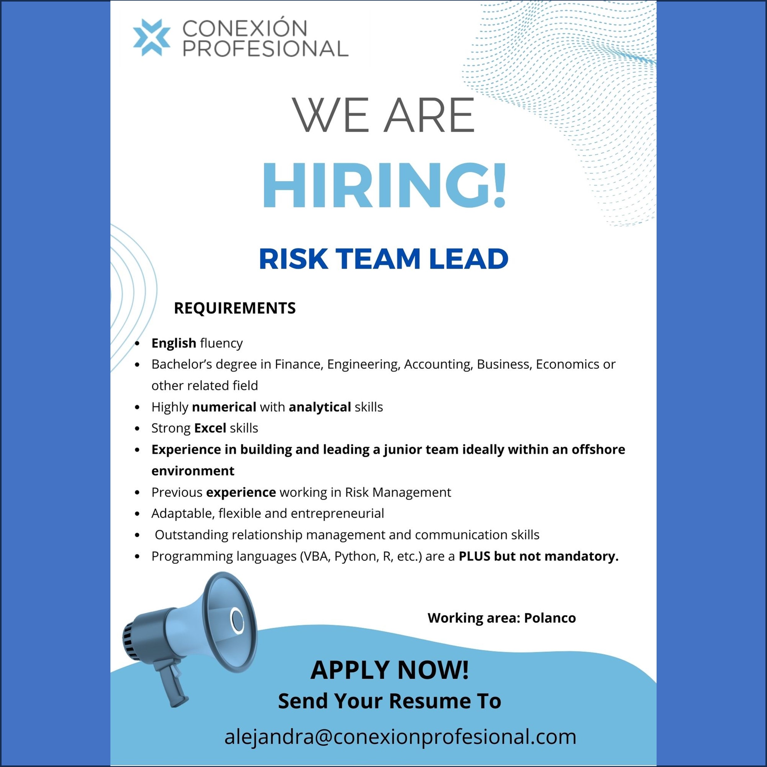 VACANTE - Risk Team Lead