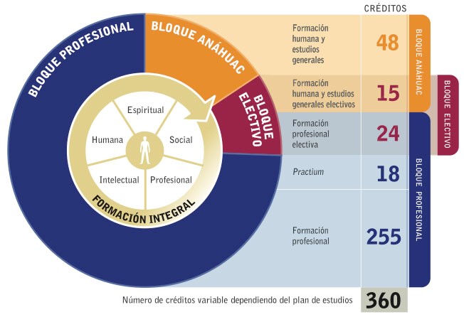 Mapa curricular 2010