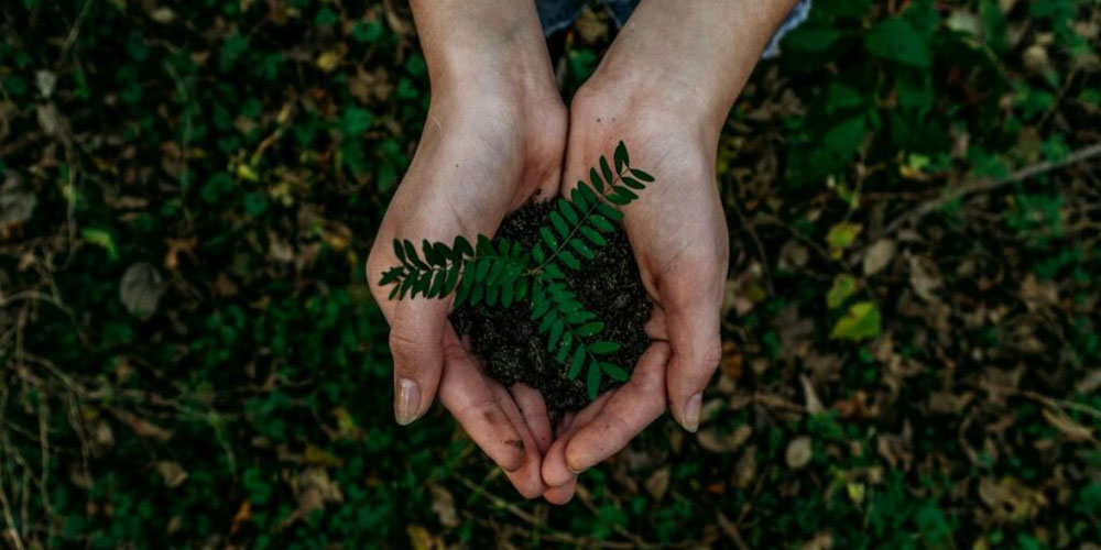 Hacia una empresa más sustentable