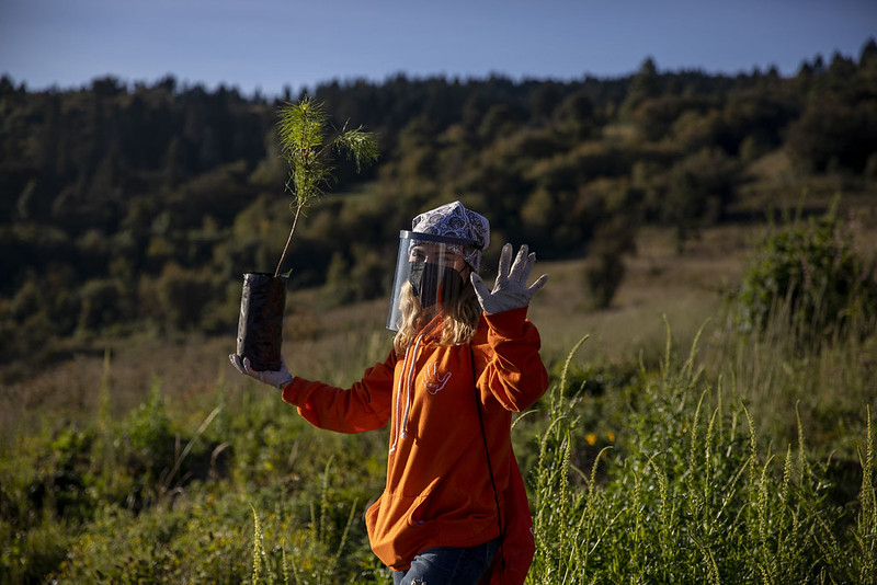 ASUA Reforestación continúa su labor incluso en la pandemia