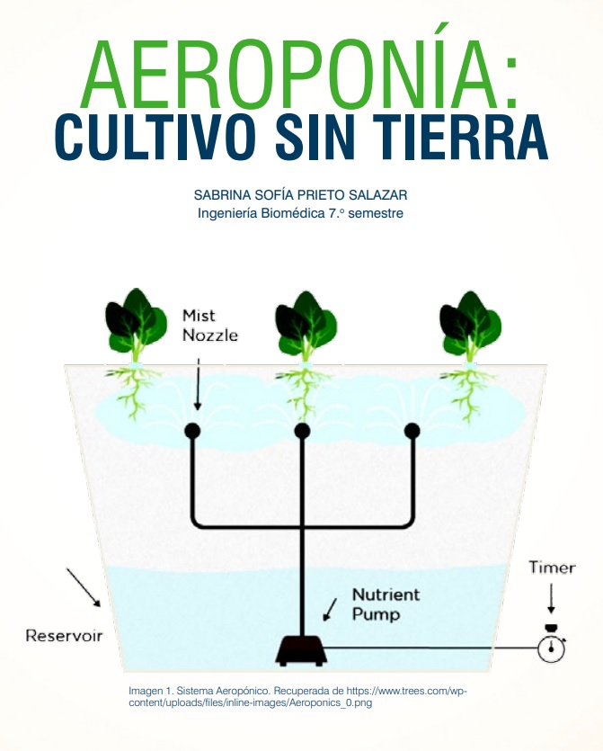 Aeroponía: cultivo sin tierra