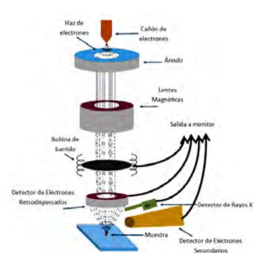 Importancia de la caracterización microestructural por microscopía electrónica de barrido en los materiales de construcción