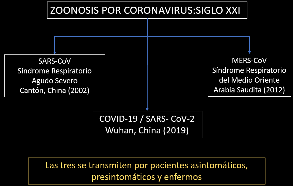 Los estragos psicológicos por la pandemia por COVID-19