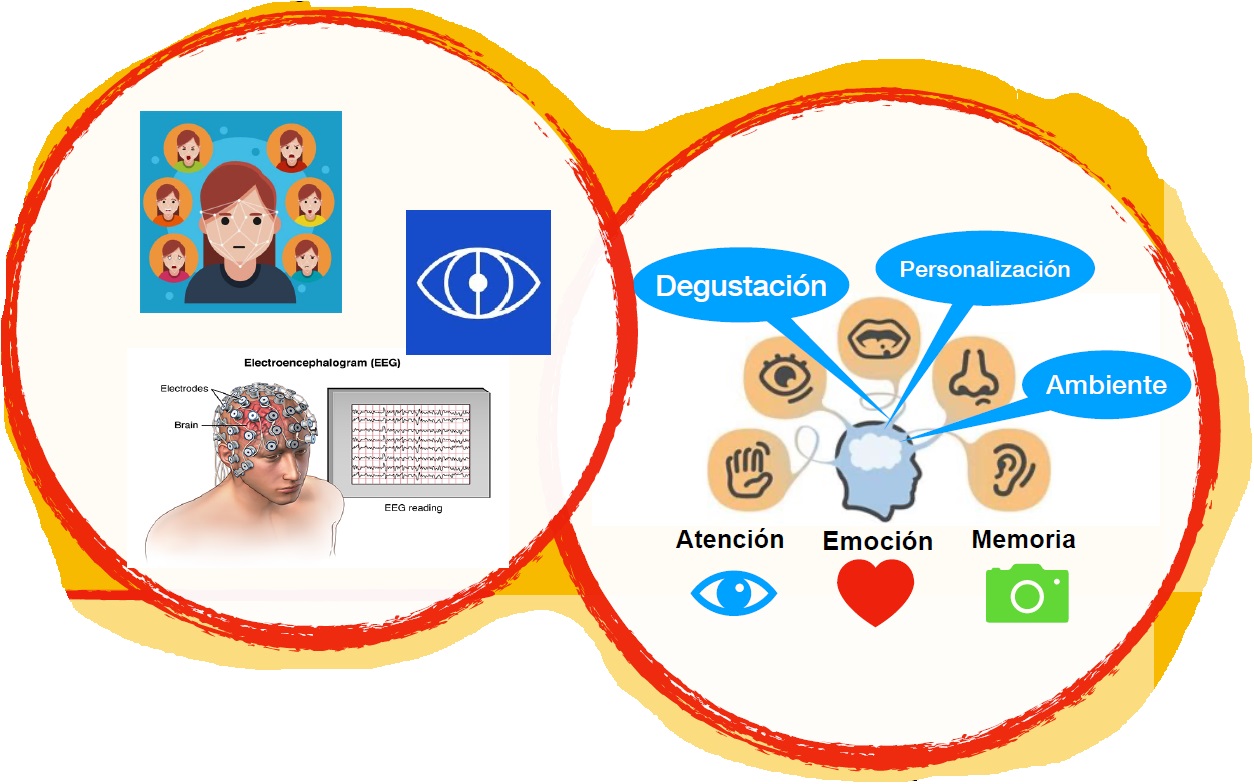 El neuromarketing como herramienta para conocer las emociones en las preferencias gustativas del consumidor y su experiencia gastronómica