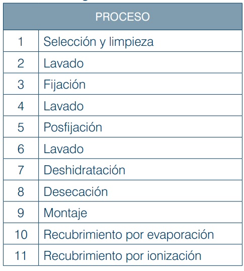 ¿Preparar o no a los especímenes biológicos para estudiarlos con el microscopio electrónico de barrido?