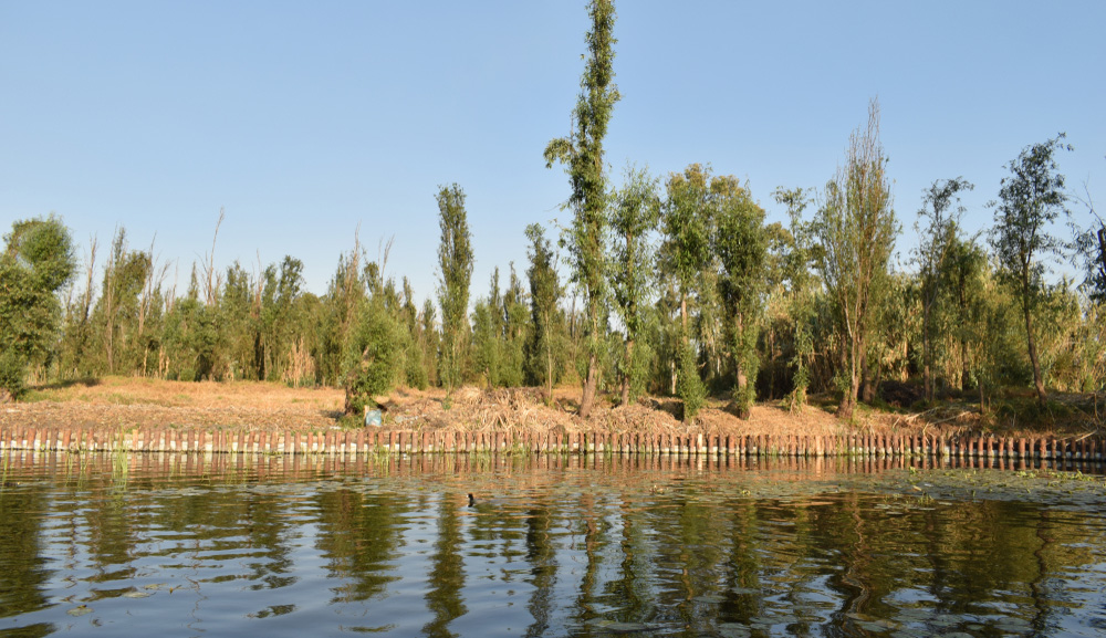Arquitectura y naturaleza: la herencia del paisaje chinampero mesoamericano 