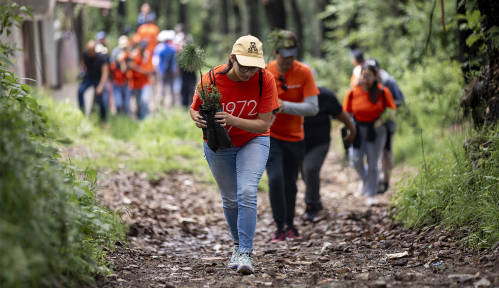 Volunteers participate in Anahuac Reforestation 2024