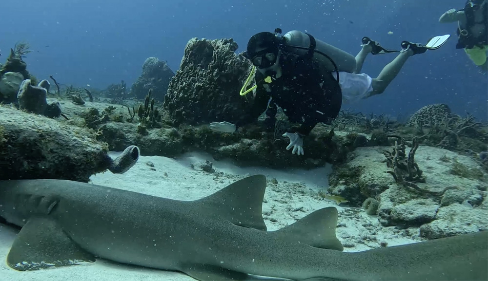 Liderazgo bajo el agua: Día Internacional del Buzo