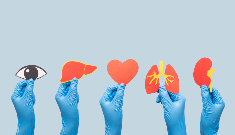 Día Mundial de la Donación de Órganos, Tejidos y Trasplantes