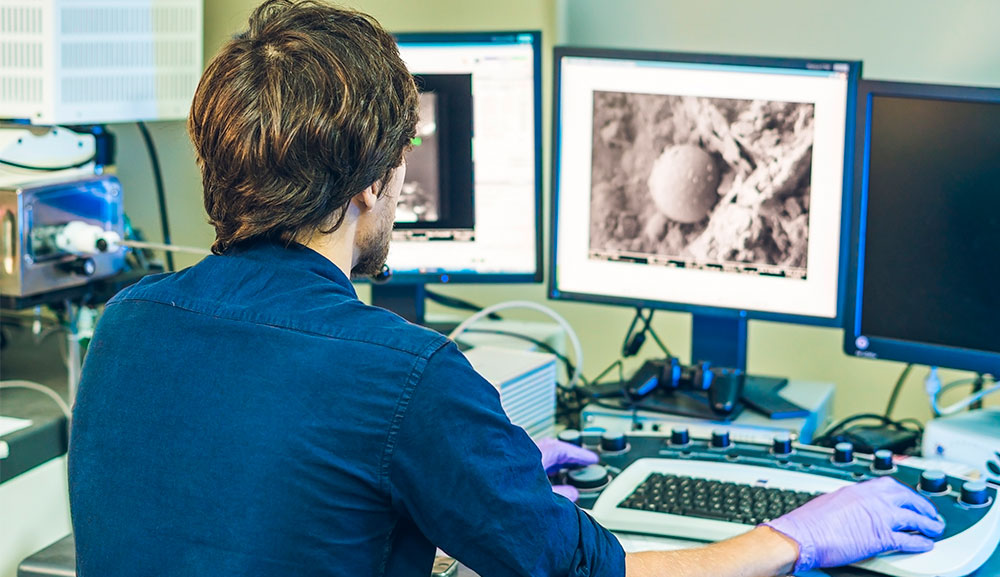 ¿Preparar o no a los especímenes biológicos para estudiarlos con el microscopio electrónico de barrido?