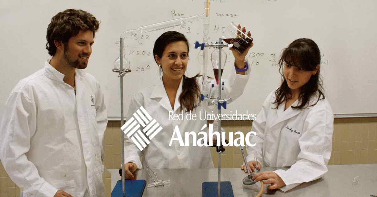 ¿En qué trabaja un ingeniero químico?