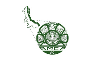 Asociación Mexicana de Contadores Públicos Colegio Profesional Veracruz Centro A.C.