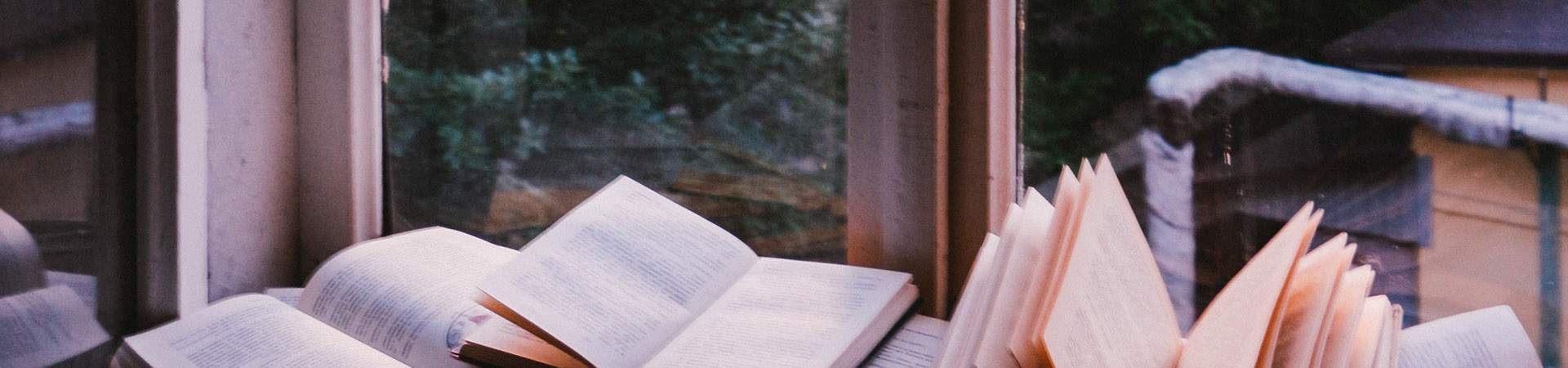 Adquisiciones de Biblioteca en el mes de Octubre 2017