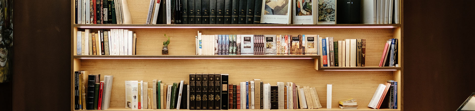 Adquisiciones de Biblioteca en el mes de Julio 2018