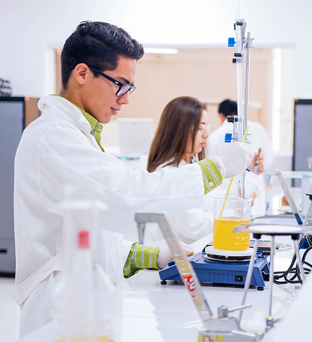 Ingeniería Química