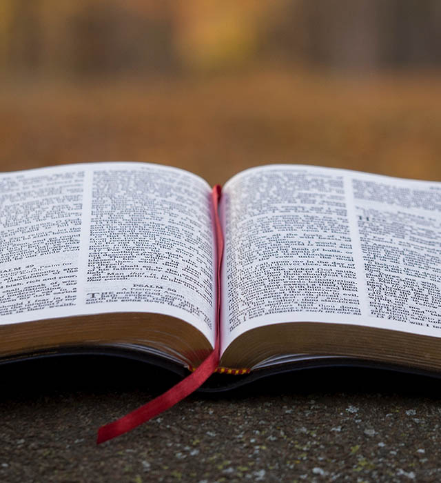 Adquisiciones de Biblioteca en Noviembre de 2019