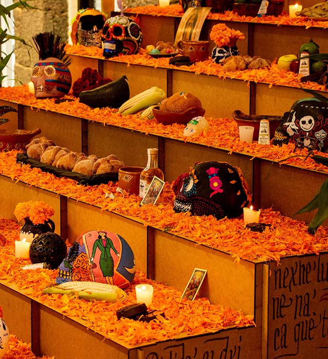 Solemnidad de Todos los Santos y Fieles Difuntos