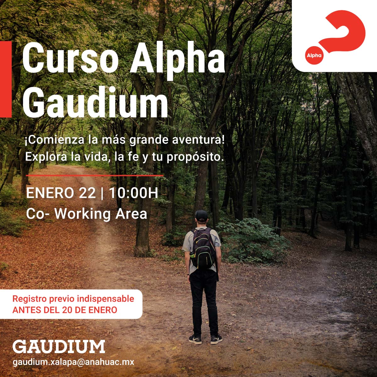 Curso Alpha Gaudium Curso Alpha Gaudium