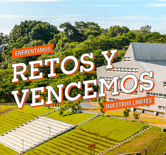 Desarrollo Profesional y Egresados