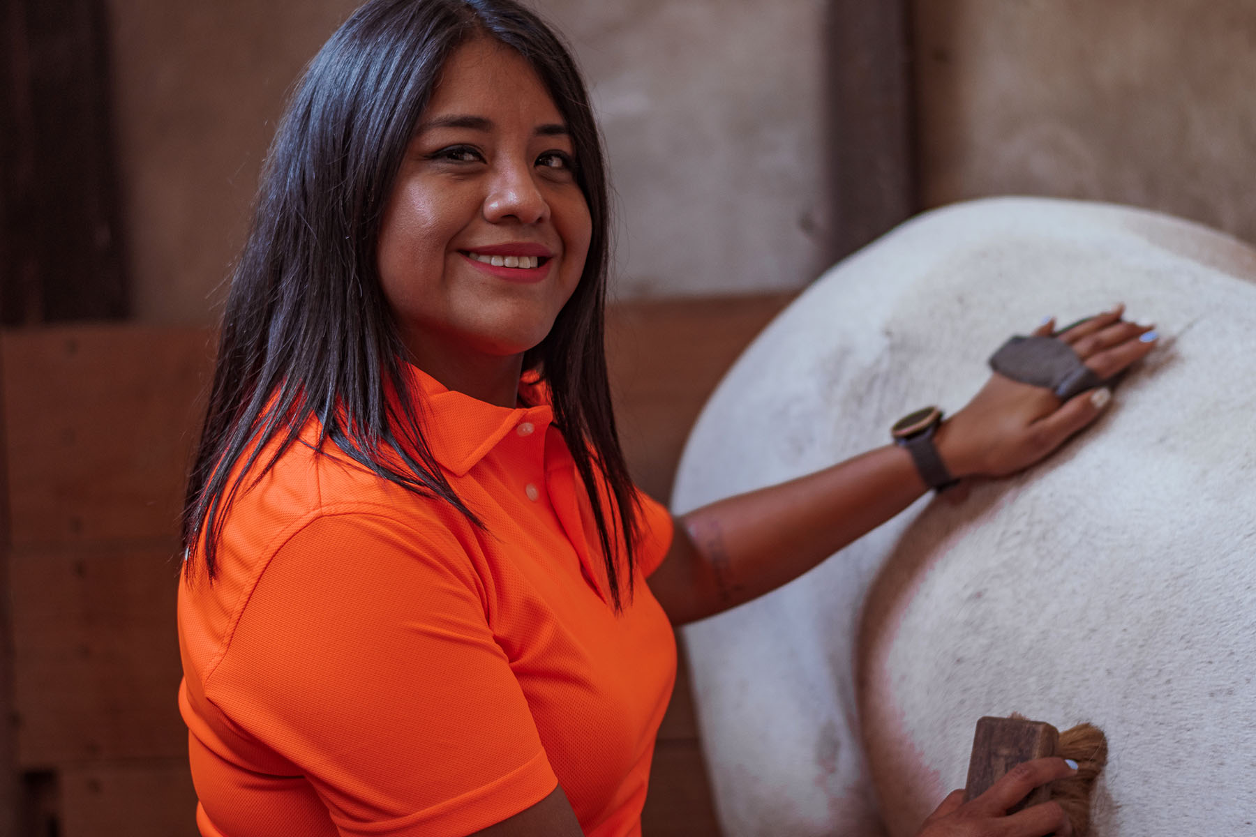 7 / 21 - Coaching Asistido por Caballos para Alumnos de la Maestría en Desarrollo de Capital 7 / 21 - Coaching Asistido por Caballos para Alumnos de la Maestría en Desarrollo de Capital