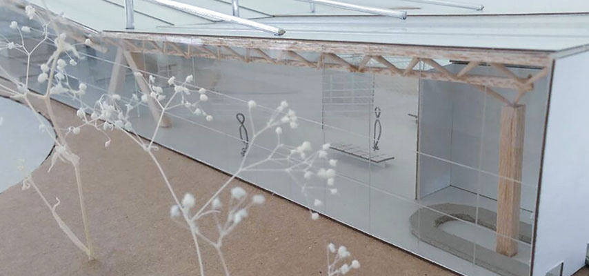 Licenciatura en Arquitectura