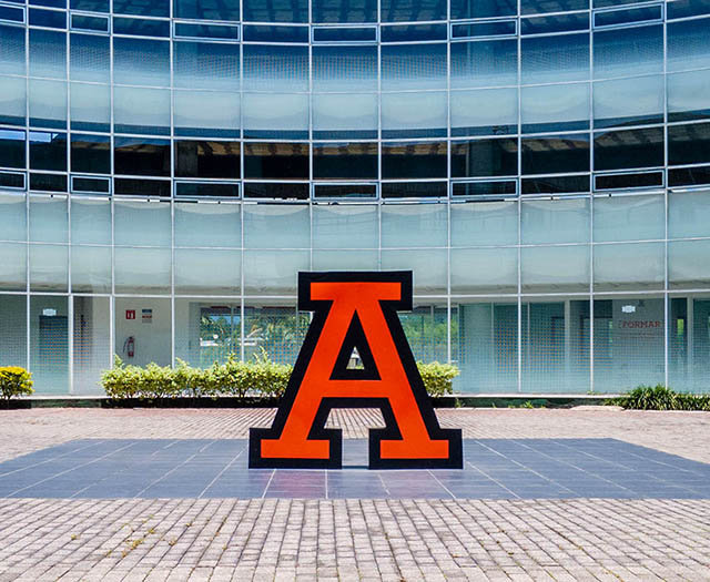Explorando el Programa de Inserción Profesional Anáhuac de la Escuela de Ingeniería