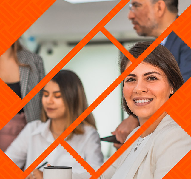 Consultoría y Desarrollo de Negocios