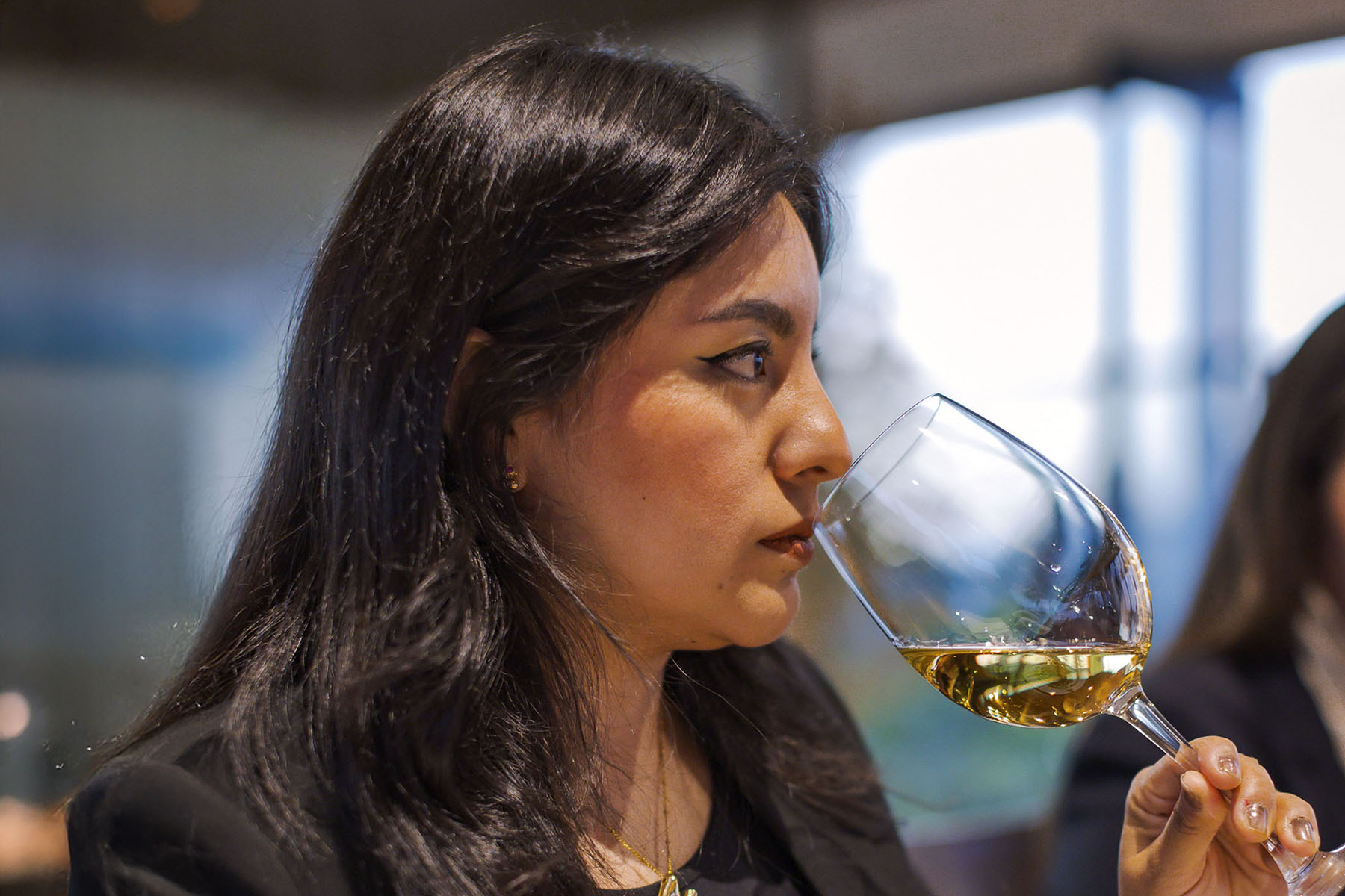 24 / 36 - Culmina con Éxito el Curso en Cultura y Cata de Vinos Españoles