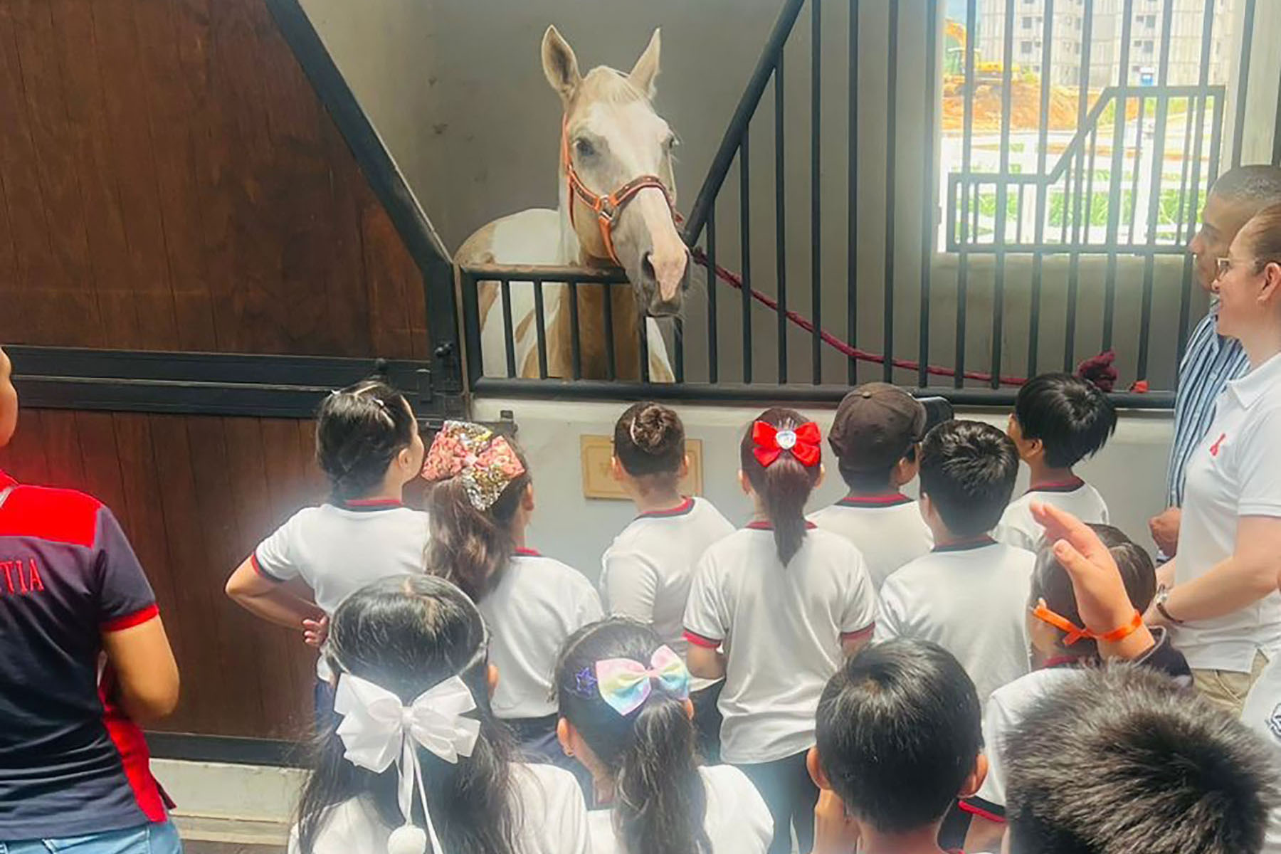 13 / 16 - La Escuela de Medicina Celebró la 3.ª Feria Binacional: Cuidando mi Salud Desde 13 / 16 - La Escuela de Medicina Celebró la 3.ª Feria Binacional: Cuidando mi Salud Desde