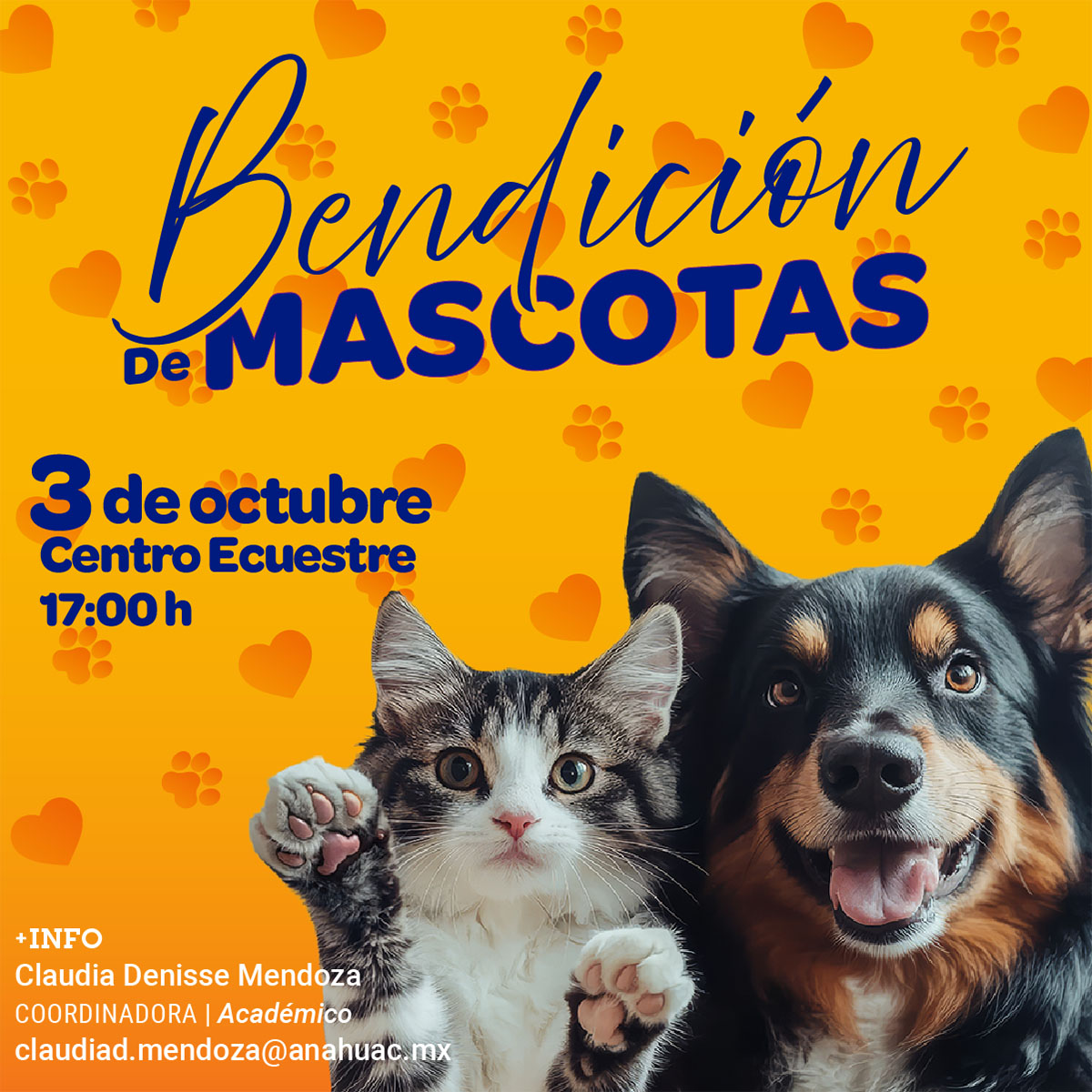 Ver en pantalla completa Bendición de Mascotas