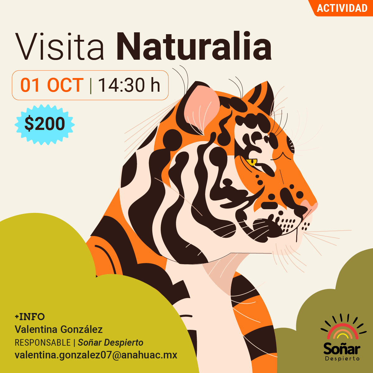Ver en pantalla completa Visita Naturalia: Soñar Despierto