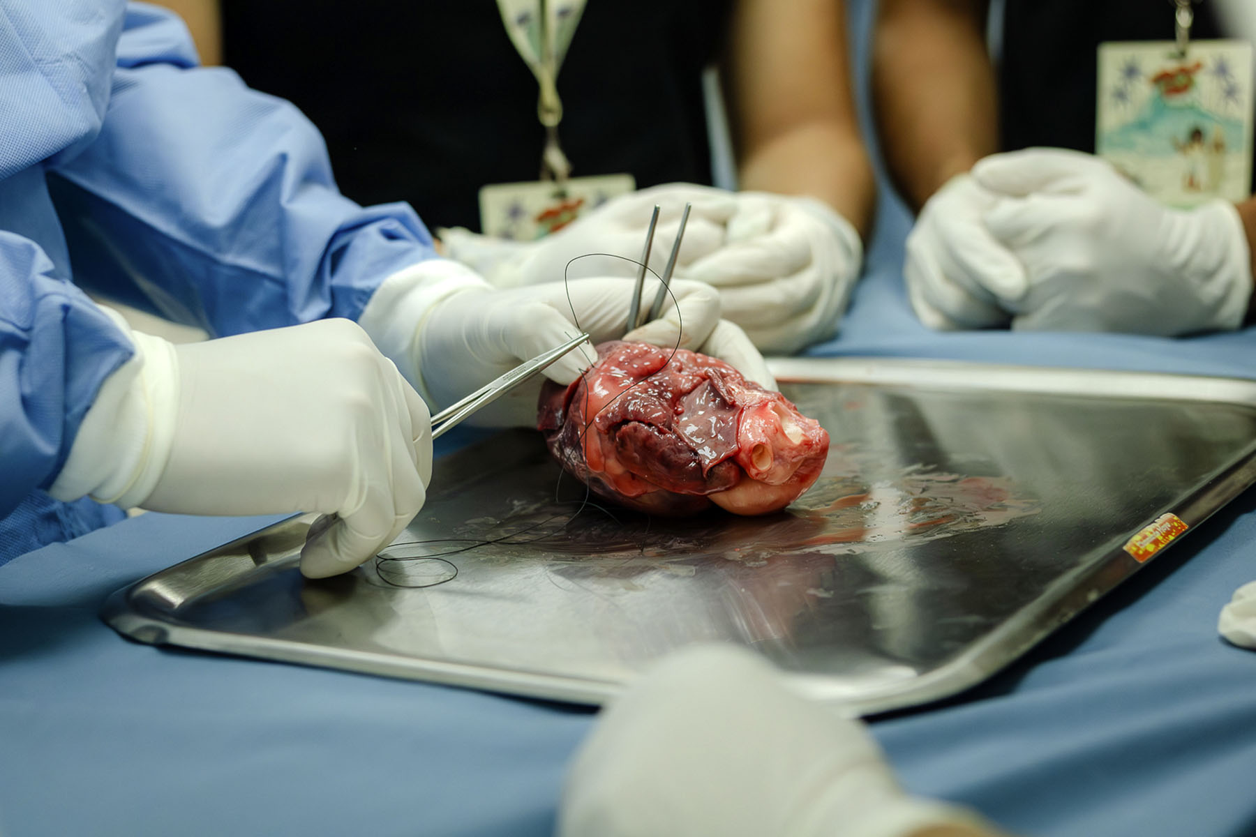 49 / 149 - Campus Visit 2025: Galería 49 / 149 - Campus Visit 2025: Galería