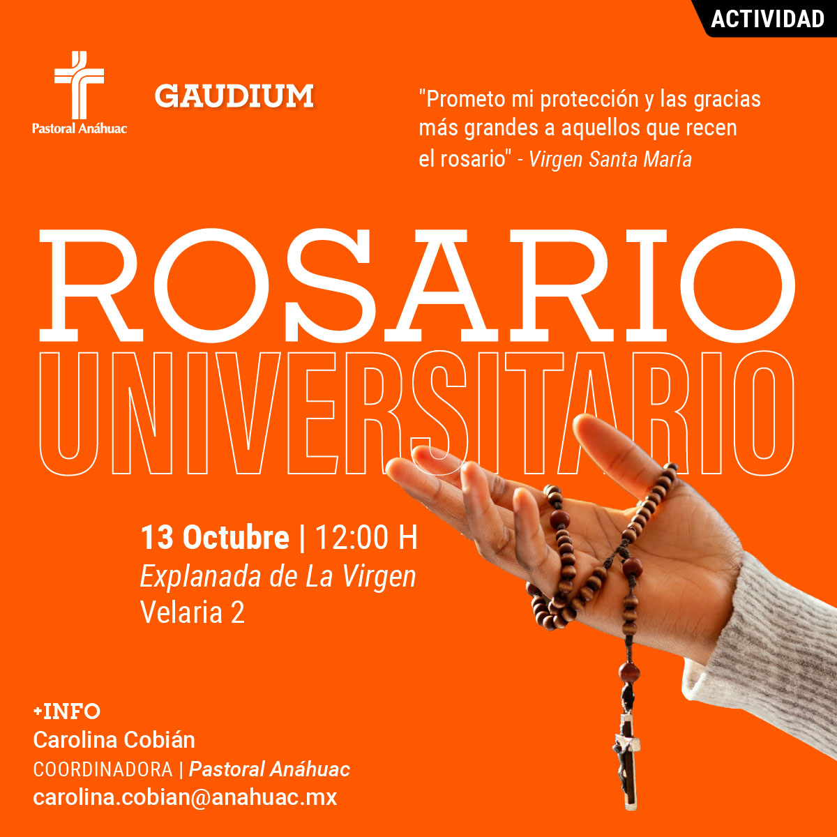 Ver en pantalla completa Rosario Universitario