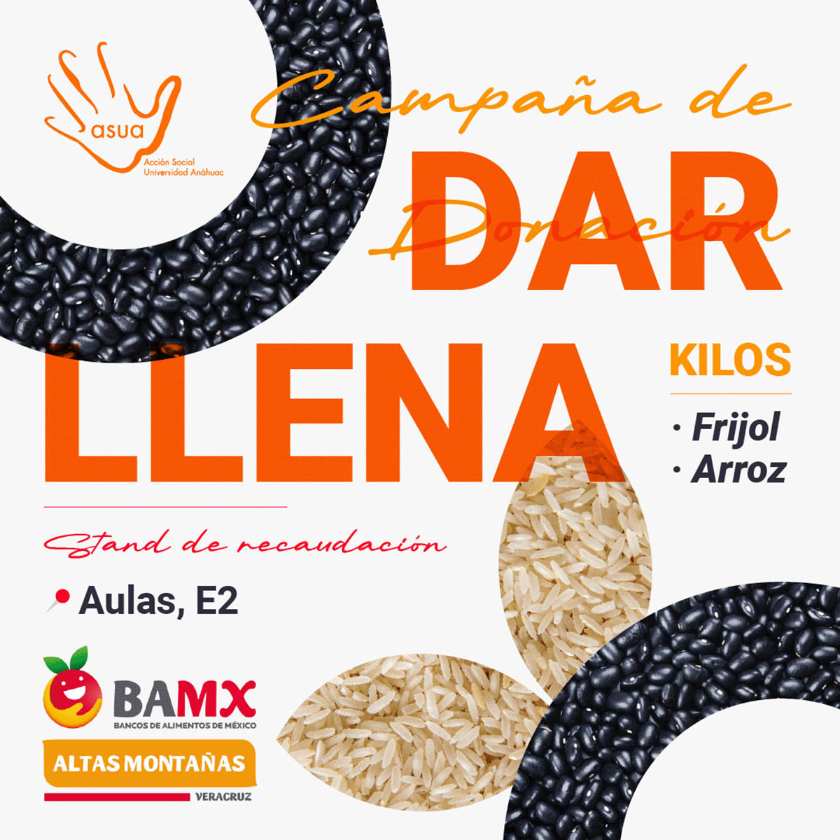 Cerrar vista en pantalla completa Campaña de Donación para el Banco de Alimentos: Dar Llena