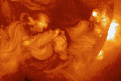 Adquisiciones Bibliográficas en Enero de 2026