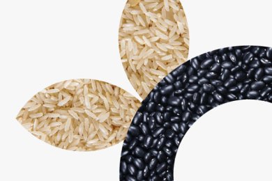 Campaña de Donación para el Banco de Alimentos