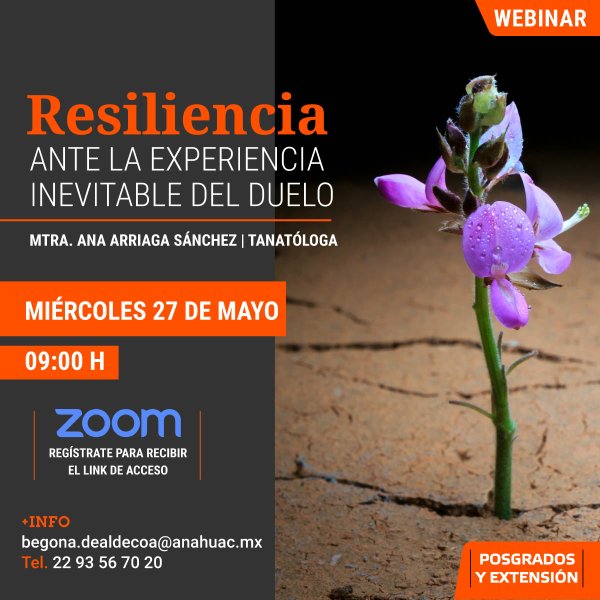 Resiliencia Ante la Experiencia Inevitable del Duelo