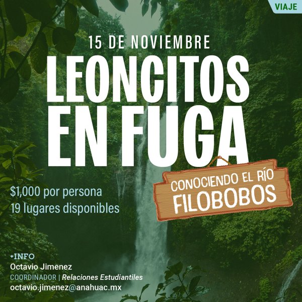 Leoncitos en Fuga: Conociendo el Río Filobobos